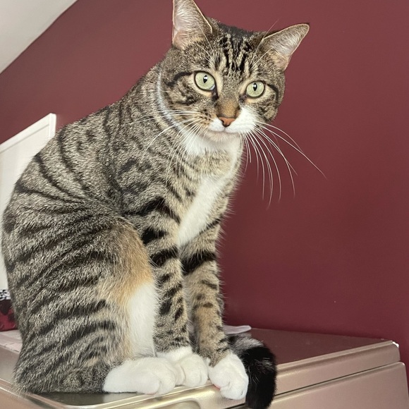 Meet your Posher, Kawtar - Picture 1 of 1